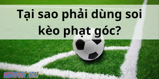 soi-keo-phat-goc-1