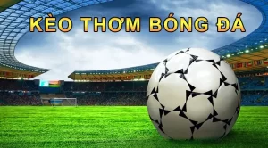 3 Bí Kíp Dự Đoán Kèo Thơm Cược Thủ Quan Tâm