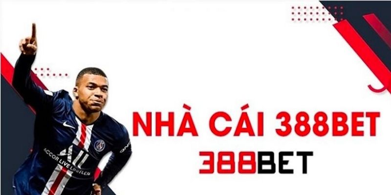 nha-cai-lua-dao-388bet