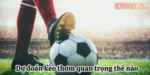 nhan-dinh-keo-thom-1